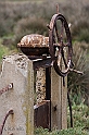 Capoterra - Stagno (40D_5295)